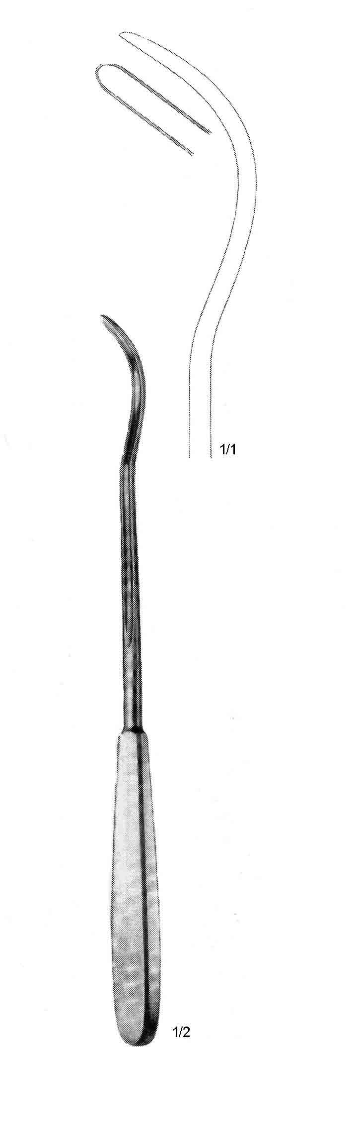KIRSCHNER GAYD PROB 25.5CM